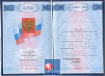 Диплом тех - кол 2007-2010